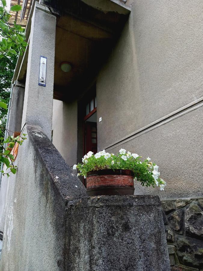 Vila Kotlarska เดชชิน ภายนอก รูปภาพ